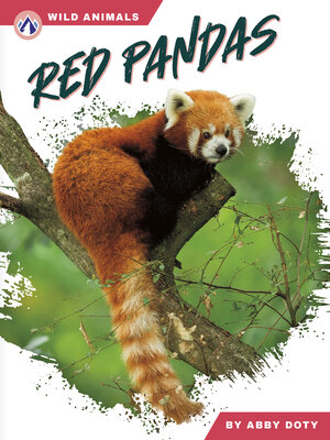 cover image of Red Pandas
